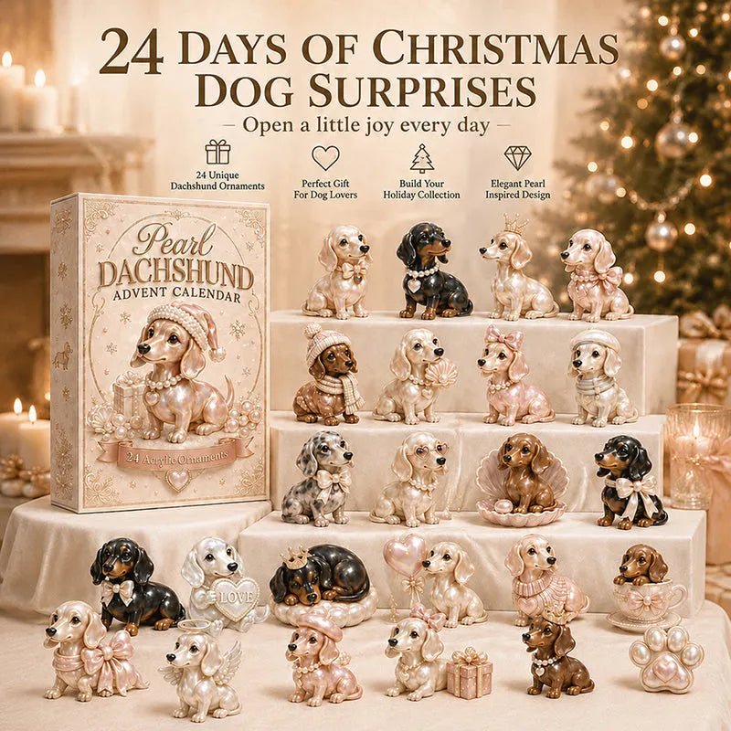 Philadelphia Eagles 2026 Christmas Advent Calendar Collector’s Edition Philadelphia Eagles 2026 Christmas Advent Calendar Collector’s Edition